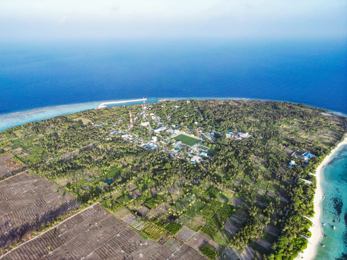 Aerial view of a tropical island with lush vegetation and ocean